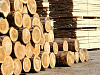 Продается готовый бизнес для термообработки/термомодифицирования древесины.